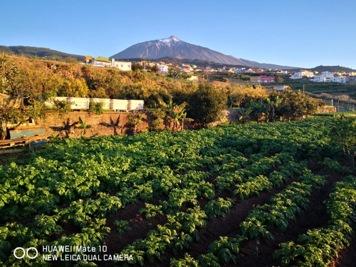 Finca Los Angeles San Juan de la Rambla ภายนอก รูปภาพ
